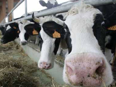 Επενδύσεις για κτηνοτρόφους