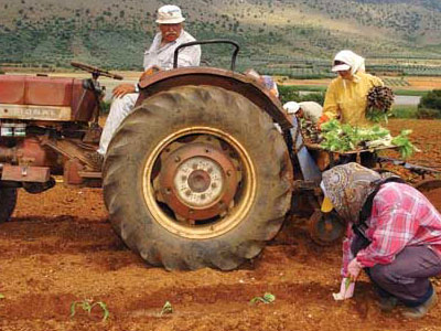 Αποζημιώσεις για τους αγρότες σε 50 νομούς