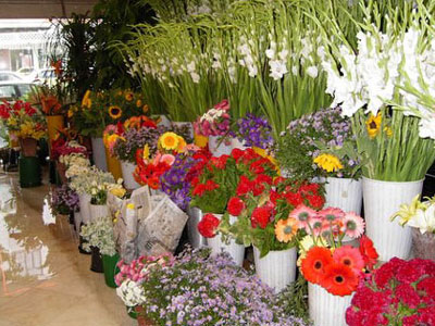 Λήστεψαν ανθοπωλείο