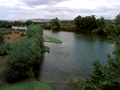 Άκαρπες οι έρευνες για τον εντοπισμό 59χρονου