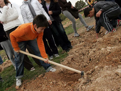 Μαθητές φύτεψαν δέντρα στη Νέα Πέραμο