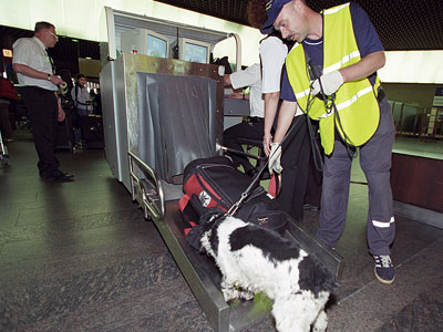 Απέτρεψαν τρομοκρατικές επιθέσεις