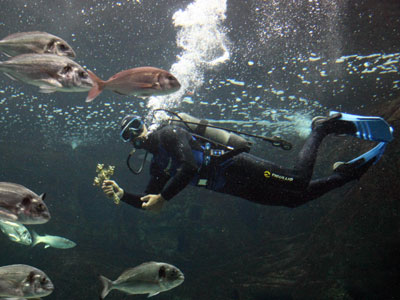 Αγιασμός υδάτων στο… βυθό