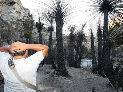 Κάηκαν 8.500 στρέμματα σε ένα χρόνο στην Κρήτη