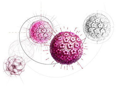 SEXUALITY: Ο ιός HPV μένει για πάντα στον οργανισμό μας;