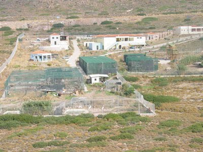 Σε κατάσταση εκτάκτου ανάγκης ζητούν να κηρυχθεί η Αίγινα