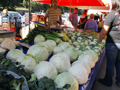 Σε αφανισμό οδηγούνται οι λαϊκές αγορές μετά τα νέα μέτρα Σε αφανισμό οδηγούνται οι λαϊκές αγορές μετά τα νέα μέτρα