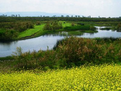 Ρύπανση στην λίμνη Κάρλα