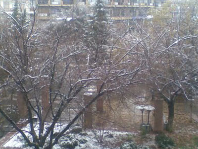 Έπεσαν δέντρα από τα χιόνια στην Πτολεμαΐδα Έπεσαν δέντρα από τα χιόνια στην Πτολεμαΐδα