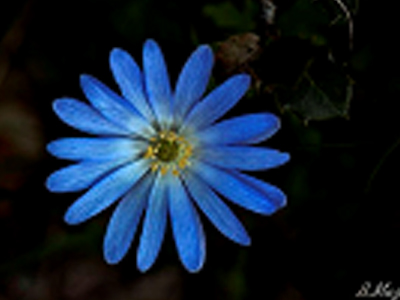 Έκθεση Φωτογραφίας στην ΑΝΑΠΛΑΣΗ