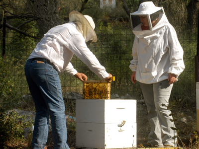 1,2 εκατομμύρια ευρώ στους μελισσοκόμους του Αιγαίου