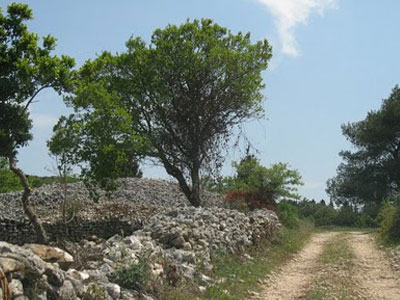 «Πάγωσε» η κατάσχεση του νεκροταφείου στη Ζάκυνθο