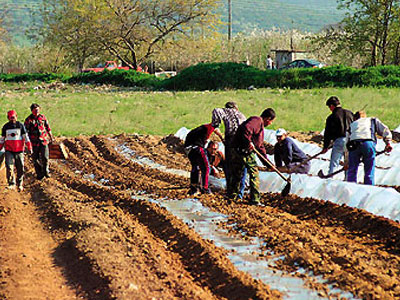 Οικονομική ενίσχυση 160 εκατ. ευρώ για τους νέους αγρότες