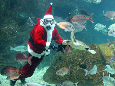 Ο δύτης Άγιος Βασίλης στην Κρήτη Ο δύτης Άγιος Βασίλης στην Κρήτη