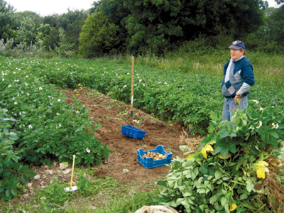 Βιολογικά προϊόντα και η αξία τους