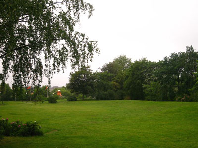 Έλλειψη πρασίνου στους σχολικούς χώρους της Καβάλας