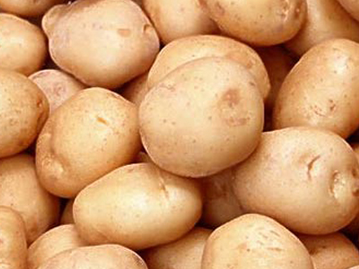 Ασαφής η απάντηση της κομισιόν για τη μεταλλαγμένη πατάτα