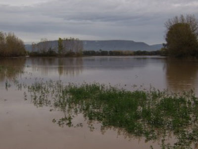 Υπερχείλισε ο Πηνειός, βυθίζοντας 5.000 στρέμματα