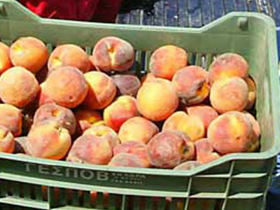 Επιχειρηματική επίσκεψη από τη Μολδαβία