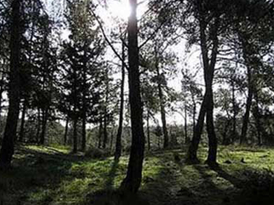 Πρόληψη για νέες πυρκαγιές