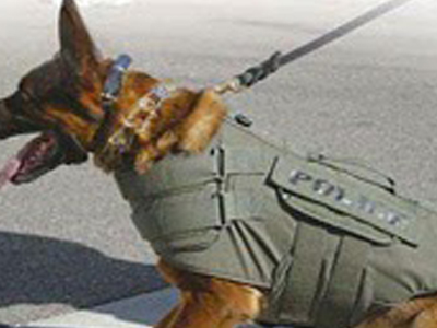 Αστυνομικός σκύλος βρήκε ναρκωτικές ουσίες