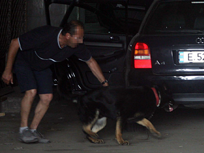 Συλλήψεις για Ναρκωτικά Συλλήψεις για Ναρκωτικά