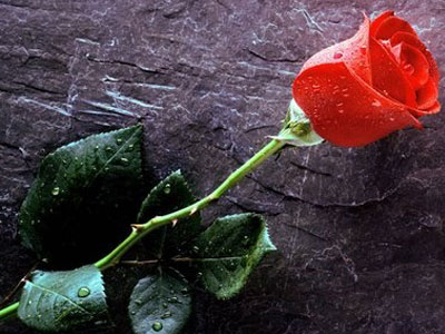 Συγγνώμη Γιαννάκη!