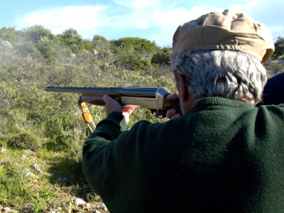 Συζητούν για το κυνήγι στο ΣτΕ