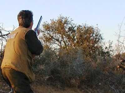 Τον μπέρδεψε με το θήραμα