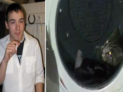 Καταδίκη Βρετανού που έβαλε γάτα σε στεγνωτήριο