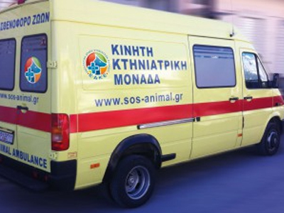 Εθελοντική Δράση Κτηνιάτρων Ελλάδας