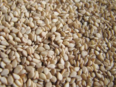 Εντοπίστηκε σαλμονέλα σε 19 τόνους σουσαμιού!