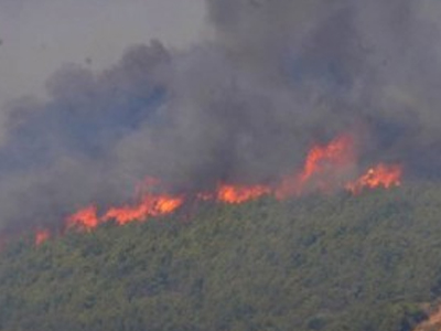 Καίγεται δάσος στη Λάρισα Καίγεται δάσος στη Λάρισα