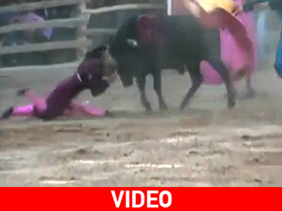 Η ταυρομάχος ερασιτέχνης, ο ταύρος επαγγελματίας…