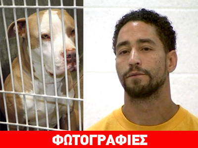 Αντιμέτωπος με τα ισόβια κάτοχος φονικών πιτ-μπουλ