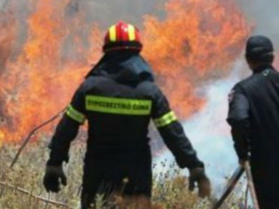 Πάτρα: Πυρκαγιά σε δασική περιοχή στα Κάτω Συχαινά