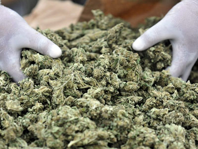 Εξήντα κιλά μαριχουάνα σε λεωφορείο που μετέβαινε στην Αθήνα