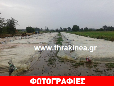 Μεγάλες καταστροφές σε καλλιέργειες στον Έβρο