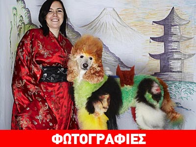 Τα πιο περίεργα κουρέματα και χτενίσματα σκύλων