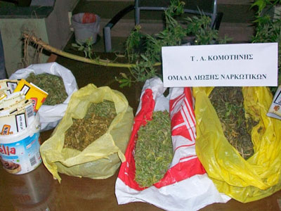 Σκύλος εντόπισε καλλιέργεια κάνναβης