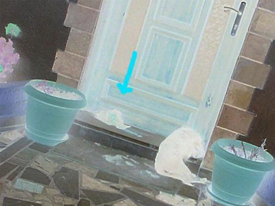 Κρήτη: Καταδίκη για τον άντρα που αποκεφάλισε κουτάβι