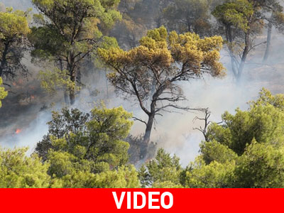 Θεσσαλονίκη: Ποδηλάτες έσβησαν φωτιά στο δάσος