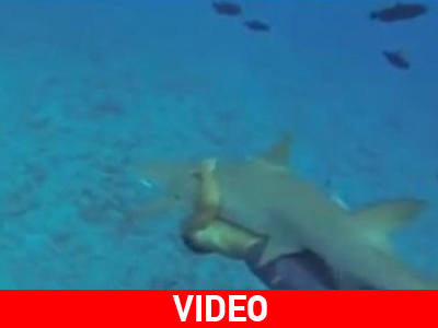 Τουρίστας αγκαλιάζει καρχαρία