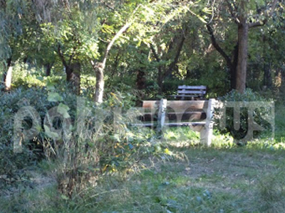 Εγκαταλελειμμένο το Σκαγιοπούλειο πάρκο στην Πάτρα