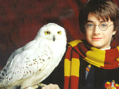 Τι καταπληκτικό συμβαίνει στα παιδιά που διαβάζουν τα βιβλία του Harry Potter;