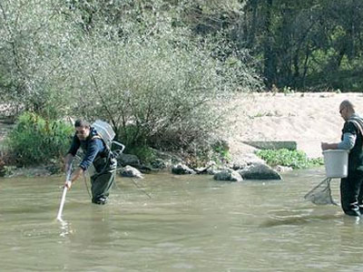 Στην Κομισιόν το πρόβλημα της ρύπανσης του Νέστου