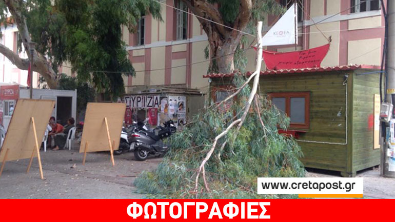Ο αέρας έσπασε… δέντρο στην Κρήτη