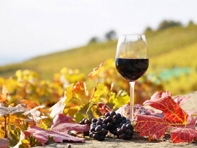 Μεγαλύτερη από ποτέ η κατανάλωση κρασιού