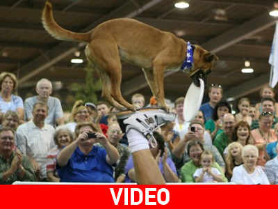 «Ημέρα εκπαίδευσης»