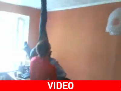 Τον κόλλησαν στο… ταβάνι!